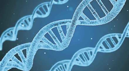 discovery of the structure of dna
