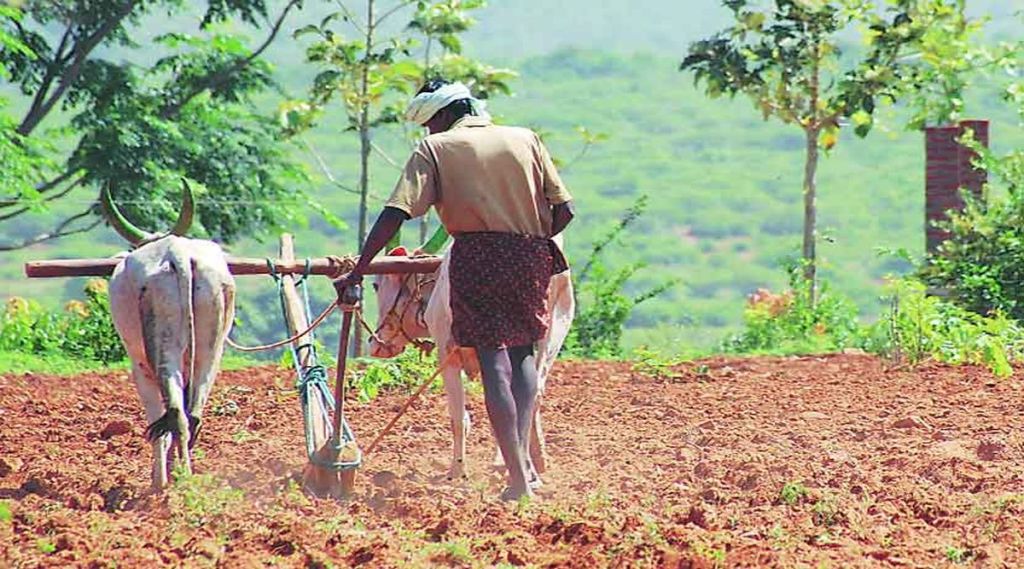 farmer