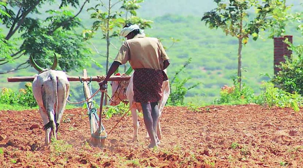 farmer