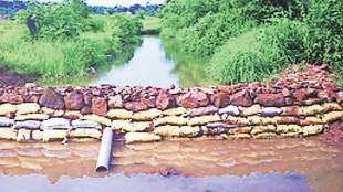 maharashtra agriculture department planning to make one lakh mini dam for irrigation