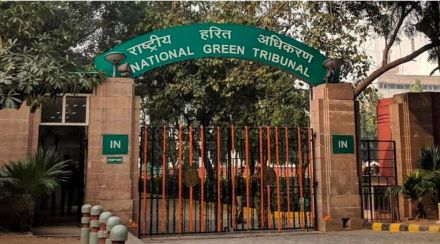 national green tribunal