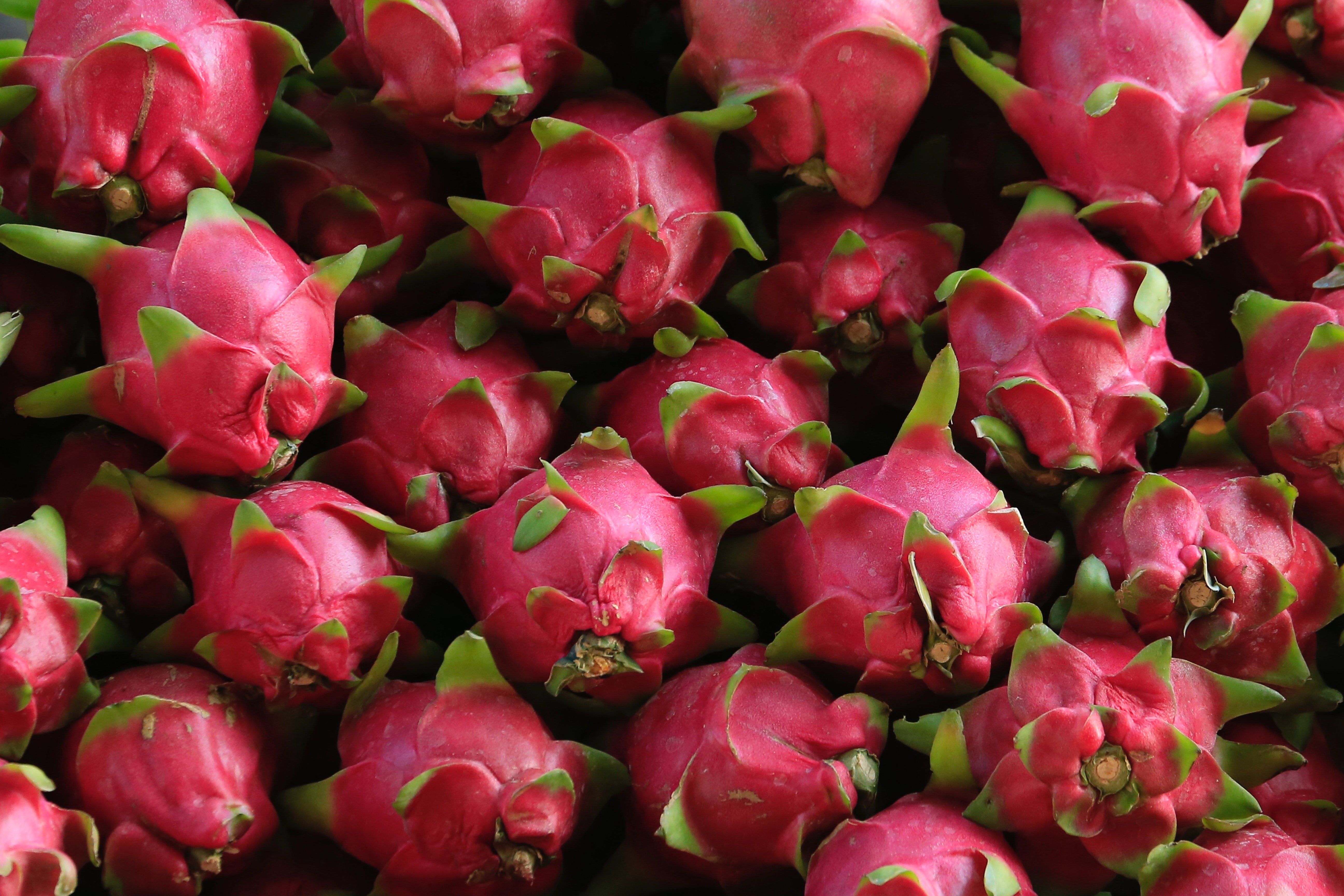 Dragon Fruit Health Benefits