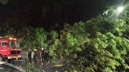 पुण्यात मुसळधार पावसामुळे अनेक ठिकाणी झाडपडीच्या घटना ; अग्निशमन दलाकडून पावसात अडकलेल्या १२ जणांची सुखरुप सुटका