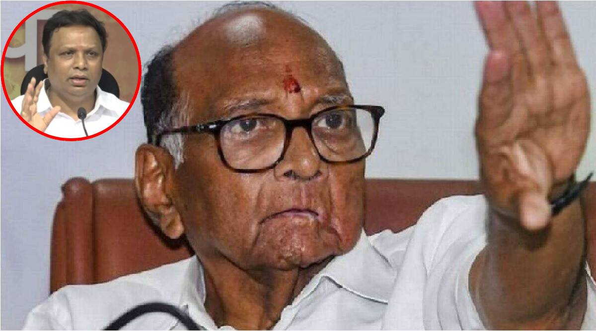 sharad pawar ashish shelar