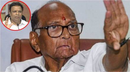 sharad pawar ashish shelar