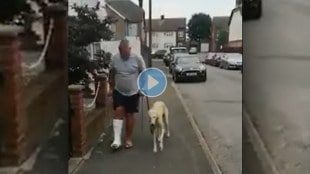 viral video of dog immitating injured owner