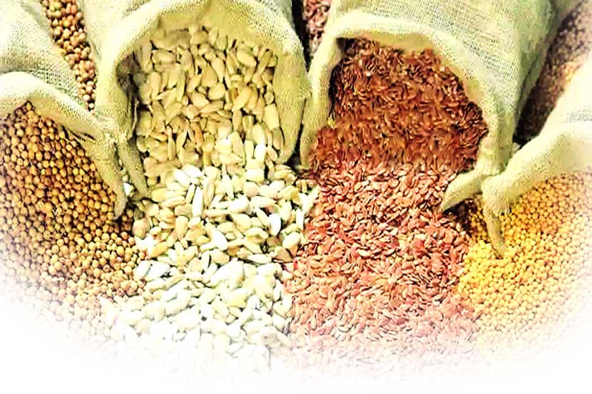 Seeds for winter: