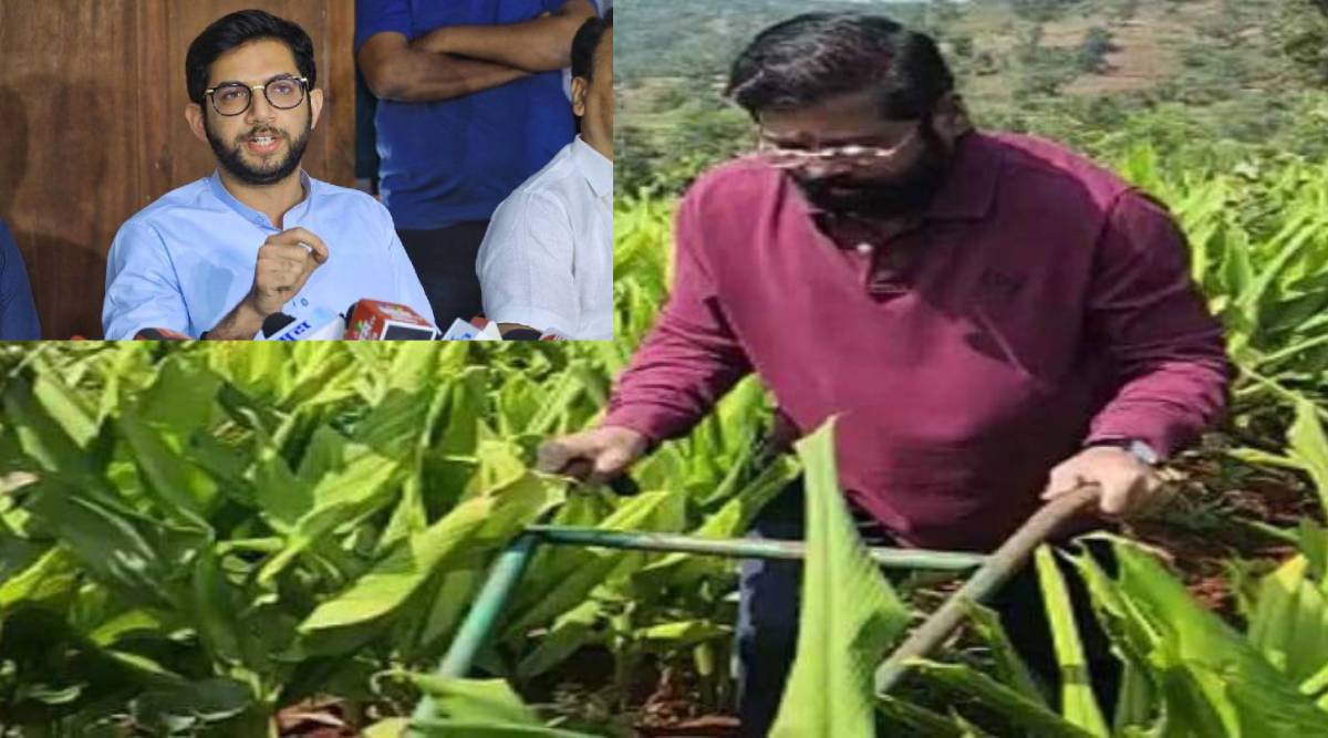 Aditya Thackearay on Cm Eknath Shinde