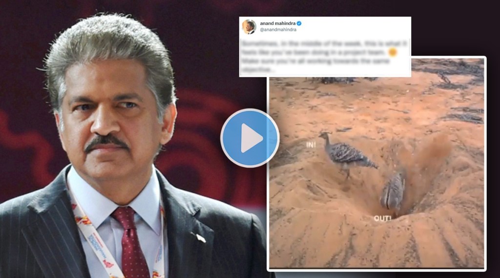Anand Mahindra explains the importance of team work by sharing a Viral video watch