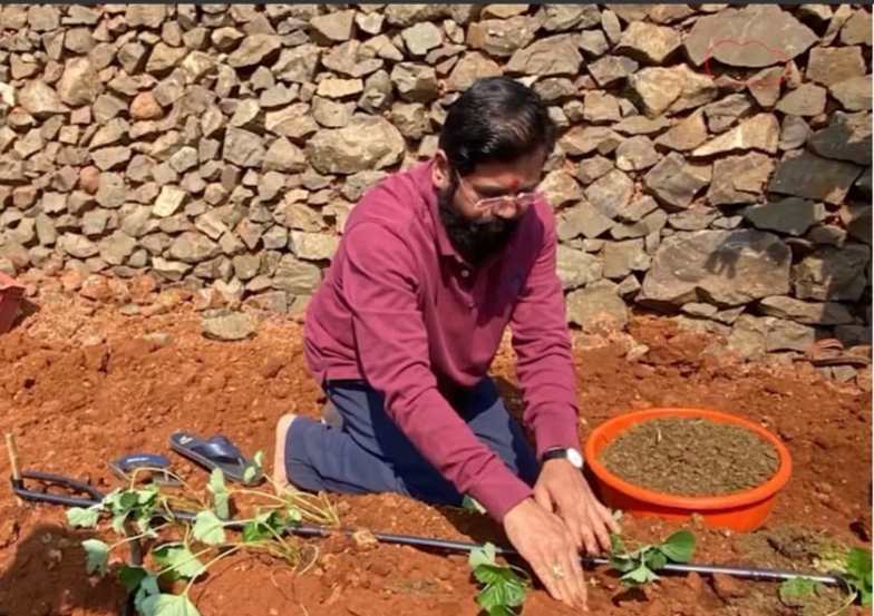 मुख्यमंत्र्यांच्या शेतात गवती चहा, हळद, हिरवी मिरची आदी पिकांची लागवड केलेली आहे.