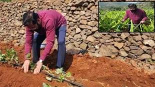 CM Shinde in farm