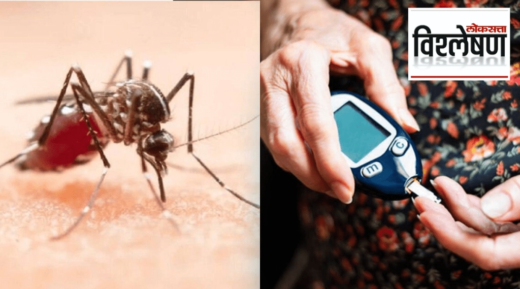 World Diabetes Day 2022 Can diabetes increase the Danger of dengue Blood Sugar Control Chart