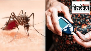 World Diabetes Day 2022 Can diabetes increase the Danger of dengue Blood Sugar Control Chart