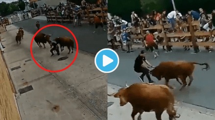 Video Man Attacked By 4 Huge Bulls Big animals Slams Each Other Shocking Viral Video Today