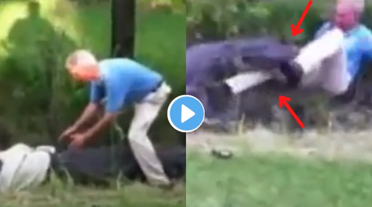 Video Man tries To Catch Giant Alligator With White T Shirt Huge Reptile Chews Legs Shocking Scary Moment