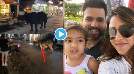 Rohit Sharma Wife Shares Video Of Rhino Roaming On Road Like Dog Viral Video will Shock You