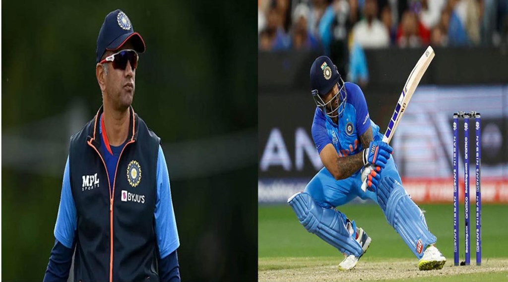 T20 World Cup 2022 Indian team head coach Rahul Dravid has praised Suryakumar Yadav. He said his batting was unbelievable