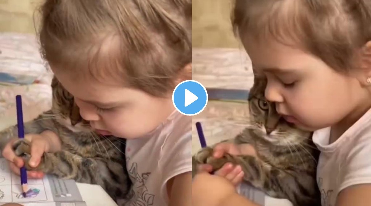 Little girl teaches cat how to colour netizens appriciated it cute video goes viral