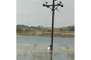 Mahavitaran employee attempt to restore power supply by swimming 70 feet