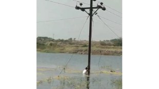 Mahavitaran employee attempt to restore power supply by swimming 70 feet