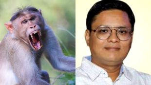 Monkey Attack On Man