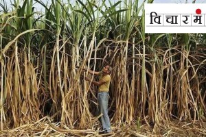 sugarcane farmers frp protest movement Sugar Commissionerate Central Government