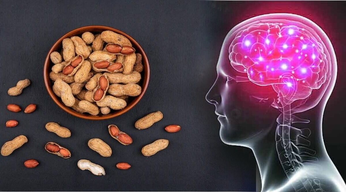 Not only almonds peanuts also increase memory power just this amount