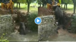 elephant rescue operation viral video