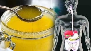 ghee disadvantage on human body