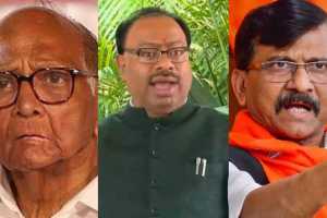 Sharad Pawar Chandrashekhar Bawankule Sanjay Raut