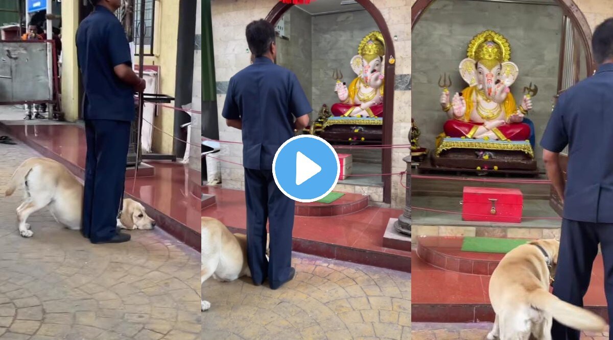 Viral video shows Dog bows down in front of lord ganesha wins internet