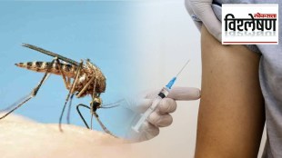 Malaria vaccine research is in progress
