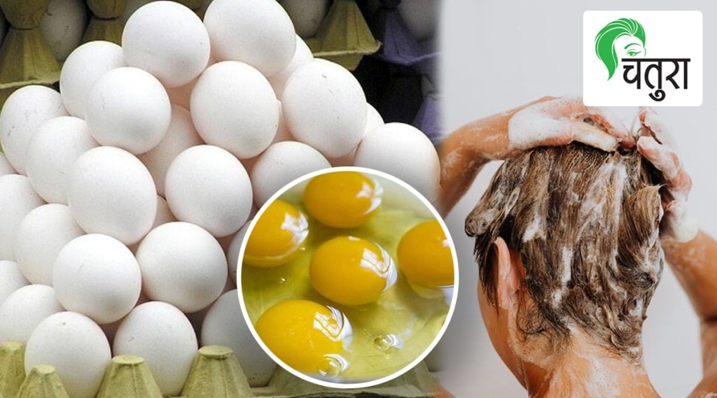 निरोगी केसांसाठी ‘अंडे का फंडा’