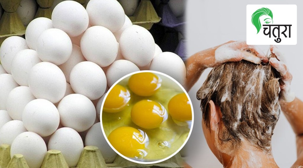 health tips use eggs for healthy hairs