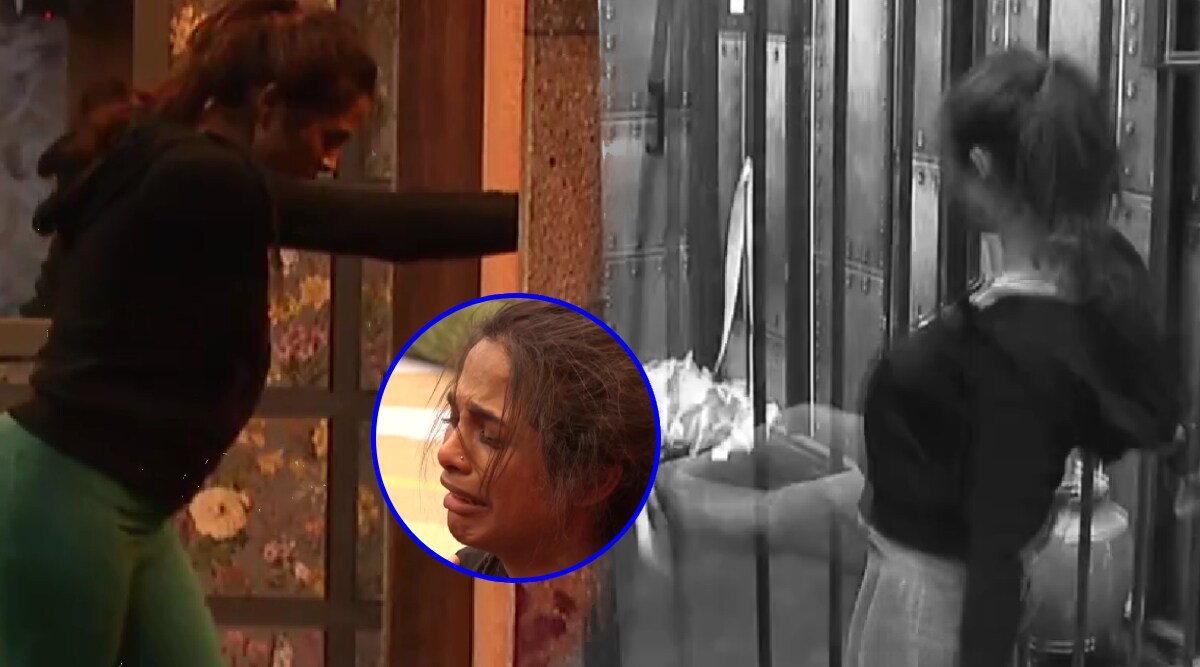 amruta dhongade bigg boss marathi