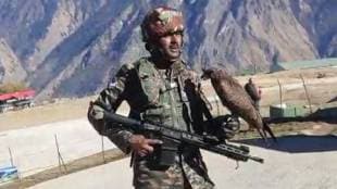 kite arjun trained on preying drones