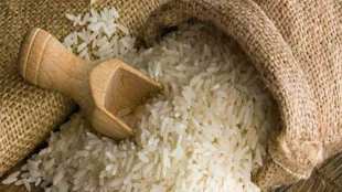 basmati-rice