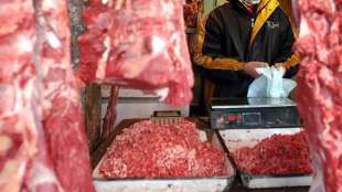 buffalo meat exports