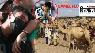 camel flu