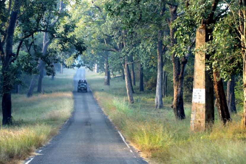 ताडोबात व्याघ्र दर्शनासाठी पर्यटकांना www.mytadoba.org या संकेतस्थळावरुन बुकींग करता येऊ शकते