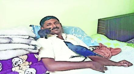 सोयरे सहचर: अपंग प्राणी आश्रम!