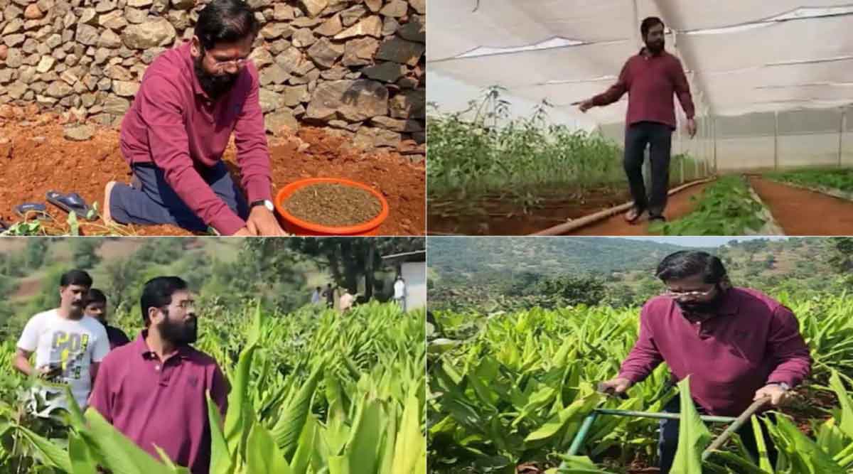 cm eknath shinde busy in farming during his two day stay in village at satara