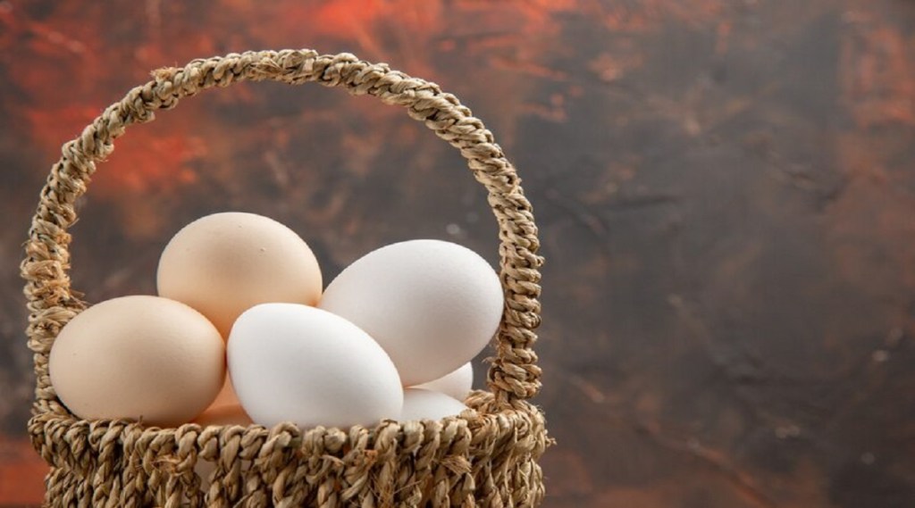 पांढरा किंवा तपकिरी? कोणत्या रंगाचे अंडे आरोग्यासाठी अधिक फायदेशीर; वाचा तज्ज्ञांचा सल्ला