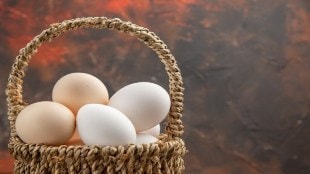 color egg white or brown