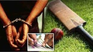 cricket