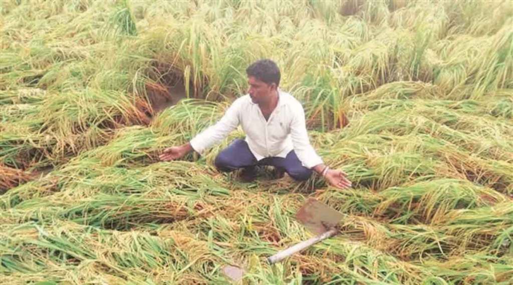 farmers affected by heavy rains