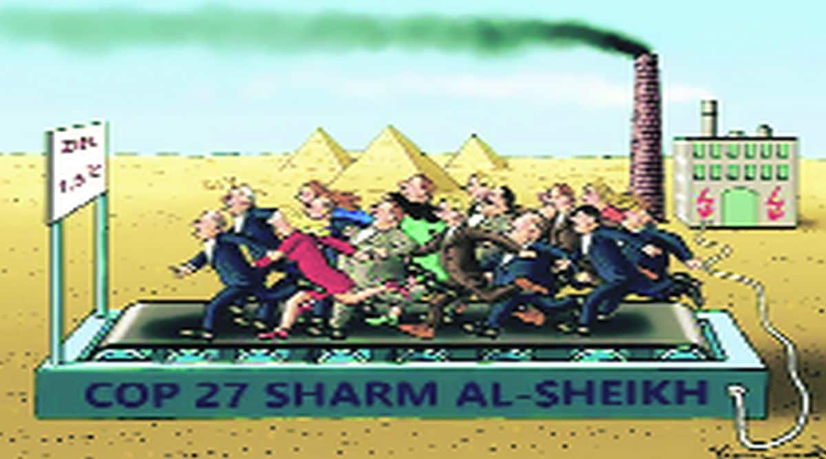 lekh cop 27 sharm al sheikh