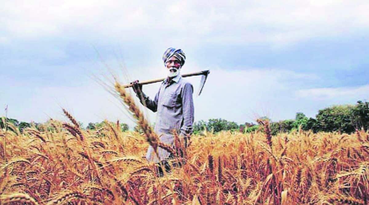 lekh1 farmer