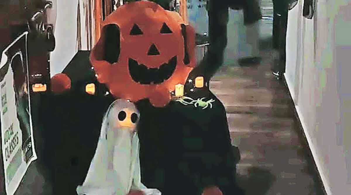halloween 2022 events