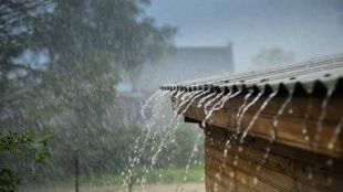 rain 22
